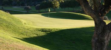 Disfruta del increíble campo de golf de Santa Clara.